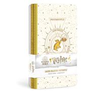 Harry Potter constellations : pack de 3 cahiers Poufsouffle - Collectif - Huginn & Muninn - Papeterie