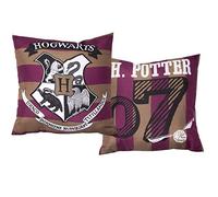 Harry Potter Coussins « Moldus