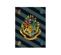 Harry Potter - Couverture polaire "4 maisons" - 100 x 150 cm