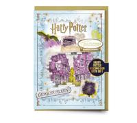 Harry Potter Diagon Alley Carte de vœux de Noël avec panneau d'olivier