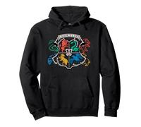 Harry Potter Doodle Hogwarts Emblem Sweat à Capuche