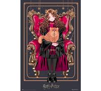Harry Potter - Dynastie des sorciers - Hermione - Film Kino - Poster 61x91,5 cm