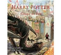 Harry Potter et la Coupe de Feu J.K. Rowling (Auteur), Jean-François Ménard (Traduction), Jim Kay (Illustration)