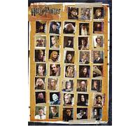 Poster et affiche GENERIQUE Harry Potter et les reliques de la mort Affiche 61x91 cm
