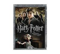 Harry Potter et les Reliques de la Mort : partie 1 - Harry Potter et les Reliques de la Mort : partie 1 (2 DVD)