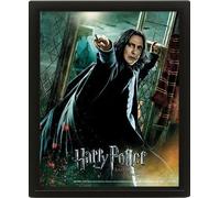 Harry Potter et les Reliques de la Mort - Partie 2 Affiche en 3D 23 x 28 cm