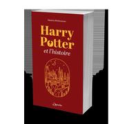 Harry Potter et l'Histoire - Damien Bridonneau - L'opportun Eds De - broché - Essai