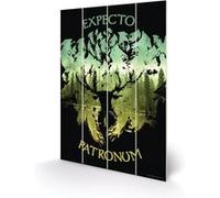 HARRY POTTER - Expecto Patronum - Impression sur bois 20x29.5 G