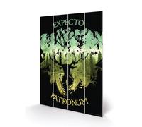 Harry Potter - Expecto Patronum - Impression Sur Bois 40x59cm