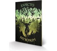 HARRY POTTER - Expecto Patronum - Impression sur bois 40x59cm G