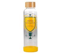 Harry Potter - Fier Poufsouffle - Bouteille d'eau en Verre 500ml