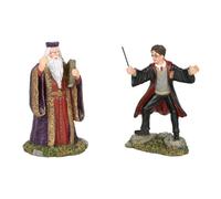 HARRY POTTER Figurine Village Multicolore Taille Unique