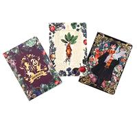 Harry Potter: Floral Fantasy Planner Notebook Collection (Set of 3): (Harry Potter School Planner School, Harry Potter Gift, Harry Potter Stationery, Undated Planner)