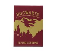 Harry Potter - Flying Lessons - Magnet