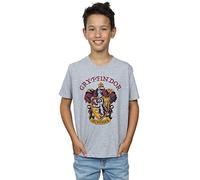 Harry Potter Garçon Gryffindor Crest T-Shirt Sport Gris 12-13 Years