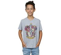 Harry Potter Garçon Gryffindor Distressed Crest T-Shirt 5-6 Years Sport Gris