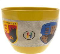 Harry Potter - Gobelet sans poignée, maisons de Poudlard TA9200 (taille unique) (Coloré)