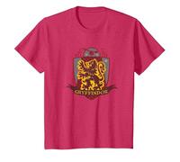 Harry Potter Gryffondor Quidditch Bouclier Vieilli T-Shirt, Enfant, Rouge Chiné, 6 Ans