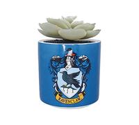 Harry Potter Half Moon Bay Pot de Fleurs d'intérieur | Pot de Fleurs en céramique et Pots de Fleurs d'intérieur | Pots de Fleurs décoratifs d'intérieur | Jardinière d'intérieur et Cadeaux Serdaigle |
