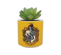 Harry Potter Half Moon Bay Pot de Fleurs d'intérieur | Pot de Fleurs en céramique et Pots de Fleurs d'intérieur | Pots de Fleurs décoratifs d'intérieur | Cadeaux de Fleurs d'intérieur | Pot de Fleurs