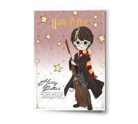 Harry Potter - Harry - Carte De Voeux Avec Pin's