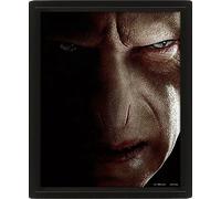 harry Potter - Harry vs Voldemort 3D image