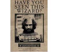 Harry Potter - Have you seen this Wizard? - 61x91,5cm - Affiche / Poster