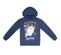 Harry Potter Hedwick Sweat à capuche pour enfant fille garçon Taille 116 à 176 Produit officiel, bleu foncé, 164