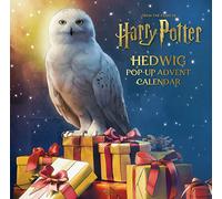 Matthew Reinhart Harry Potter: Hedwig Pop-Up Advent Calendar (Relié)