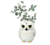Harry Potter Hedwige Pot de Fleurs Mural
