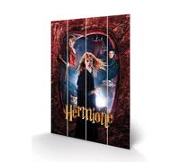 Harry Potter - Hermione - Impression Sur Bois 40x59cm