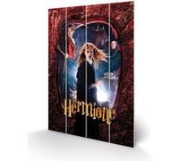 Pyramid International Harry Potter Hermione Wood Print 40 x 59cm, Multi-Colour,