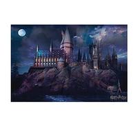 Wizarding World Harry Potter (Hogwarts) 61 x 91.5cm Affiche Maxi