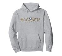 Harry Potter Hogwarts Legacy Logo Sweat à Capuche, Unisexe pour Adultes, Gris Chiné, XL