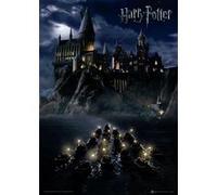 Harry Potter - HOGWARTS SCHOOL - 30x40cm - Affiche Poster