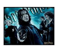 Harry Potter HP32555 Puzzle Serpentard Effet 3D 500 pièces