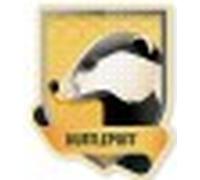 Harry Potter Hufflepuff Tassorosso Puzzle 331 Pcs GRUPO ERIK