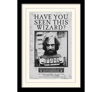 Harry Potter Image Encadrée avec Passe-Partout Multicolore 30 x 40 cm