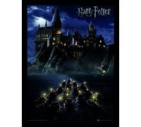 Harry Potter Image encadrée Multicolore 30 x 40 x 1,3 cm