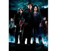 Harry Potter - Impression En Verre - Group Hp4 - 30x40 Cm