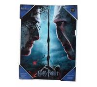 Harry Potter - Impression En Verre - Harry / Voldemort - 30x40 Cm