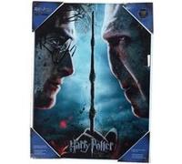SD Toys Poster Harry Potter et Voldemort Multicolore 41 x 31 x 3 cm