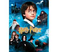 Harry Potter - Impression En Verre - Philosopher's Stone - 30x40 Cm