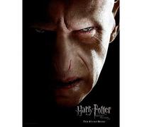 Harry Potter - Impression En Verre - Voldemort Face- 30x40 Cm