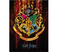 Harry Potter - Impression sur toile encadrée, armoiries de Poudlard PM3552 (40 cm x 30 cm) (Coloré)