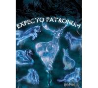 Harry Potter - Impression sur toile, "Expecto Patronum" PM3309 (80 cm x 60 cm) (Bleu/Blanc/Noir)