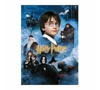 HARRY POTTER- Puzzle, Couleur (Dirac SDTWRN23241)