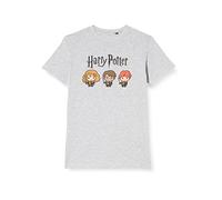 Harry Potter Legend Icon Officiel imprimé T-Shirt pour Garçon Col Ras du Cou Manches Courtes Coton Coupe régulière,Legendary TRIOTaille 8 Ans,Gris Melange