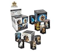 Harry Potter Les Animaux Fantastiques Créatures Magiques Cube De Mystère Et Nobl