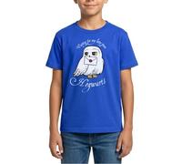 Harry Potter Lettre d'Hedwige - Hogwarts/Poudlard T Shirt Ado
